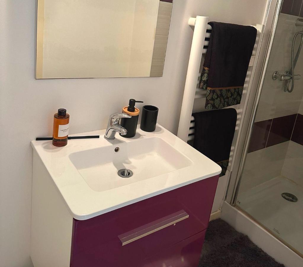 L'Oasis Cosy Lägenhet Villeurbanne Exteriör bild