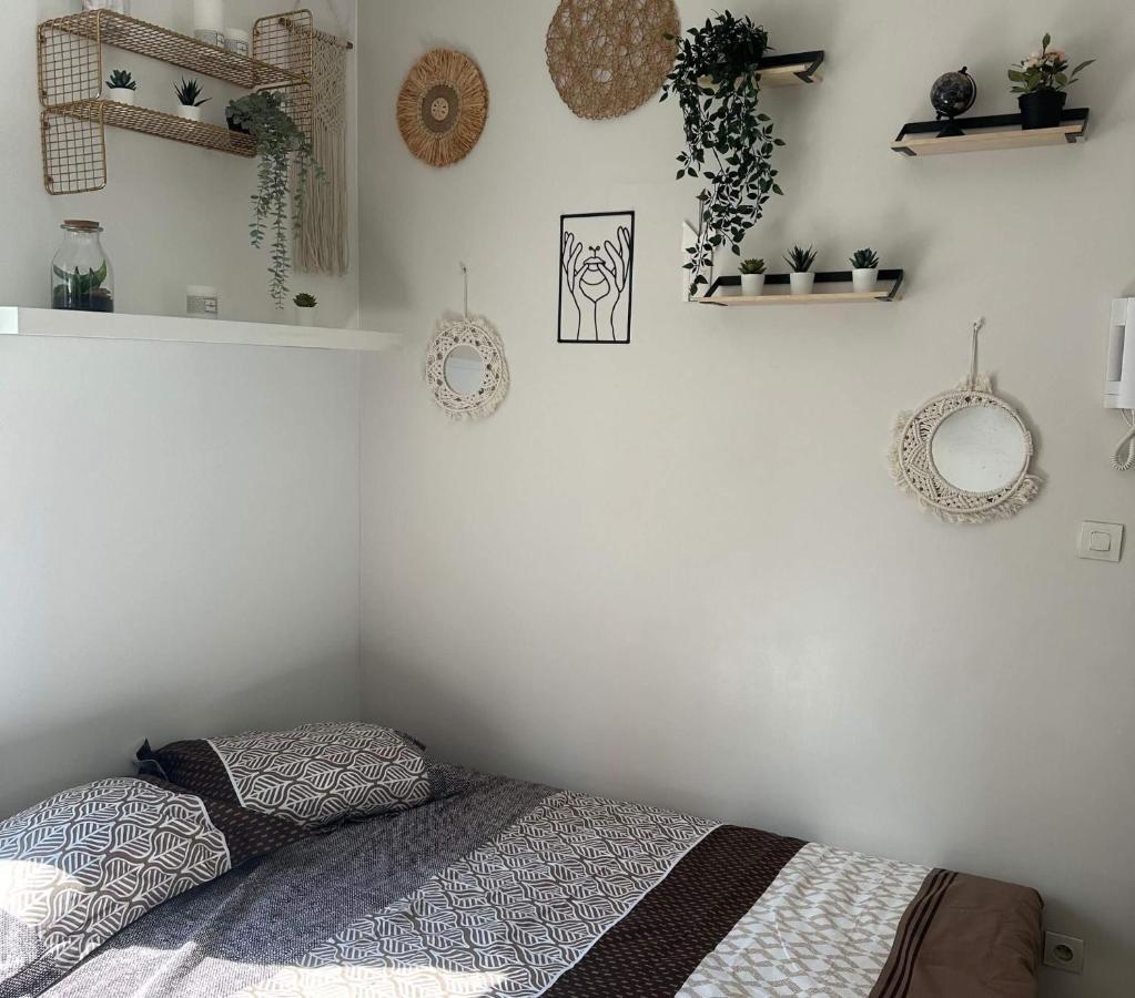 L'Oasis Cosy Lägenhet Villeurbanne Exteriör bild