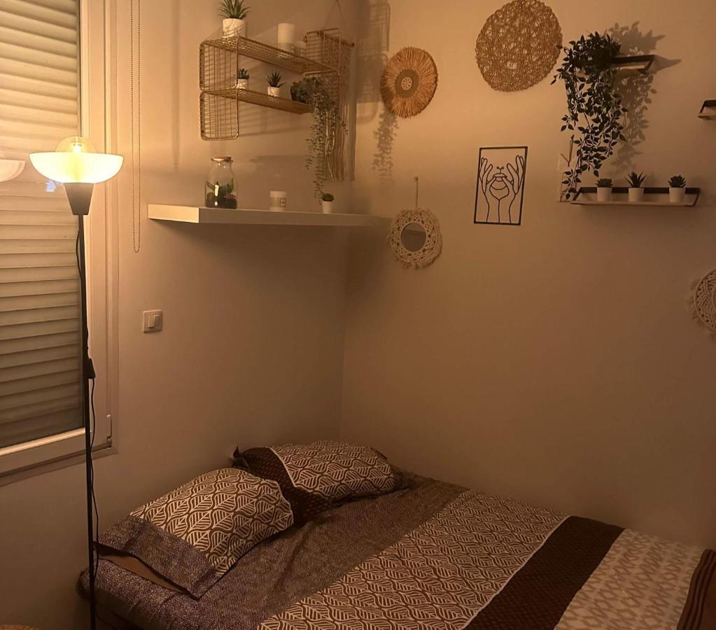 L'Oasis Cosy Lägenhet Villeurbanne Exteriör bild